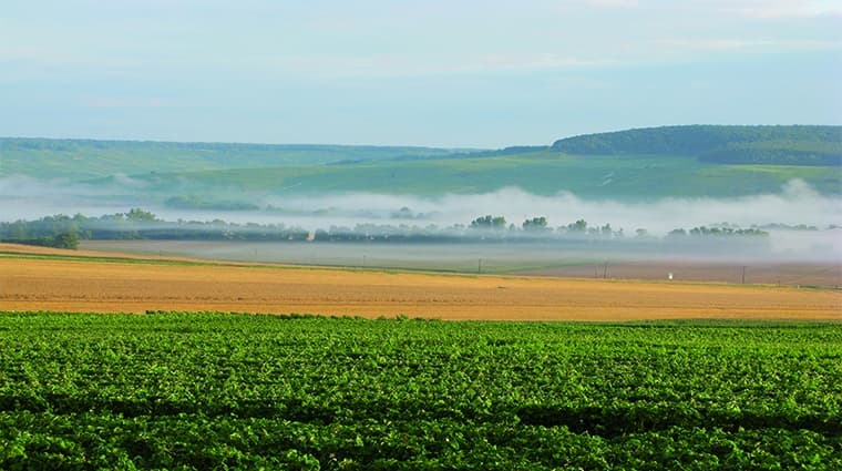 Champagne Beaumont des Crayères