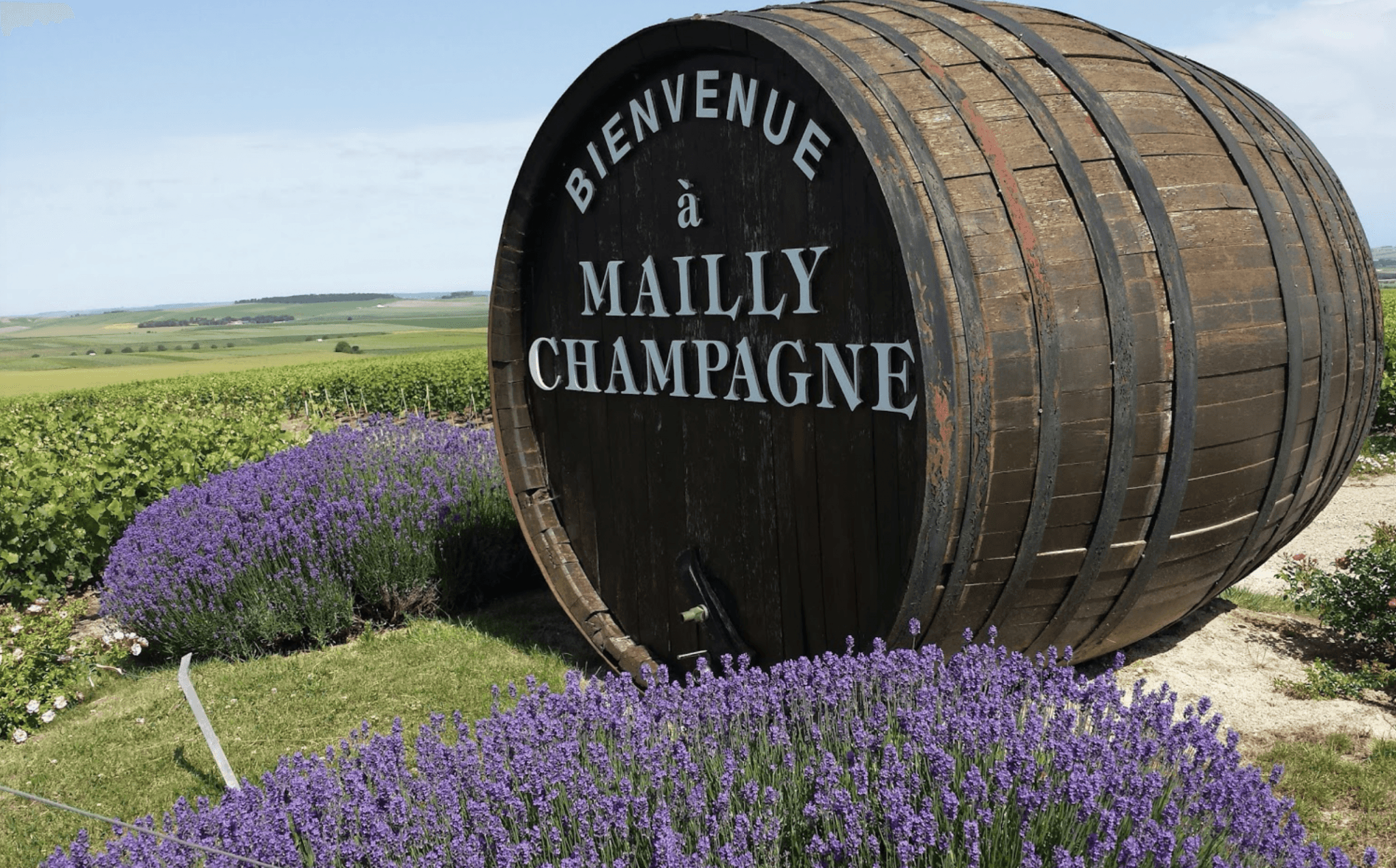 Champagne Mailly Grand Cru