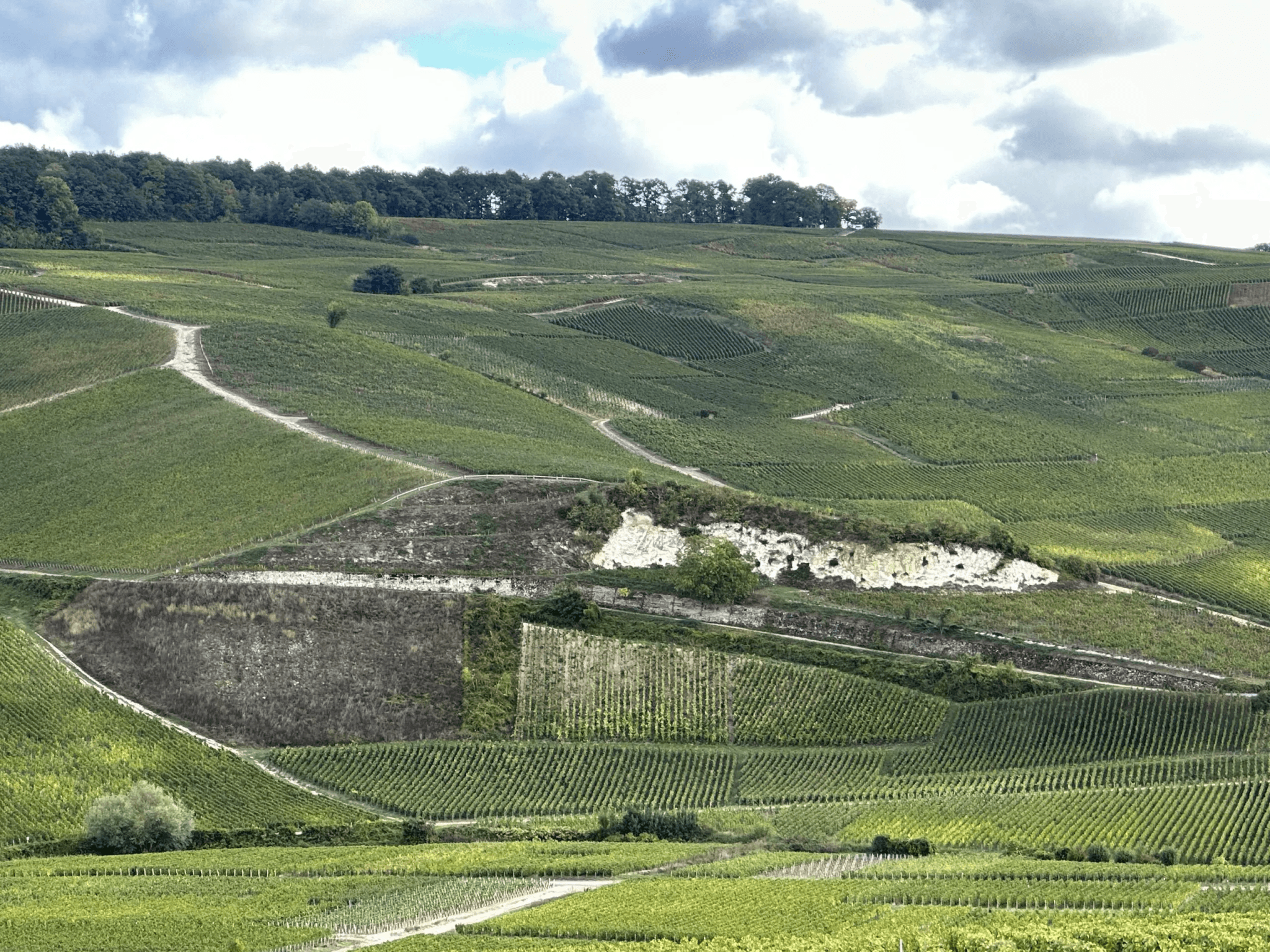 CHAMPAGNE BOLLINGER VÄRLDSNYHET