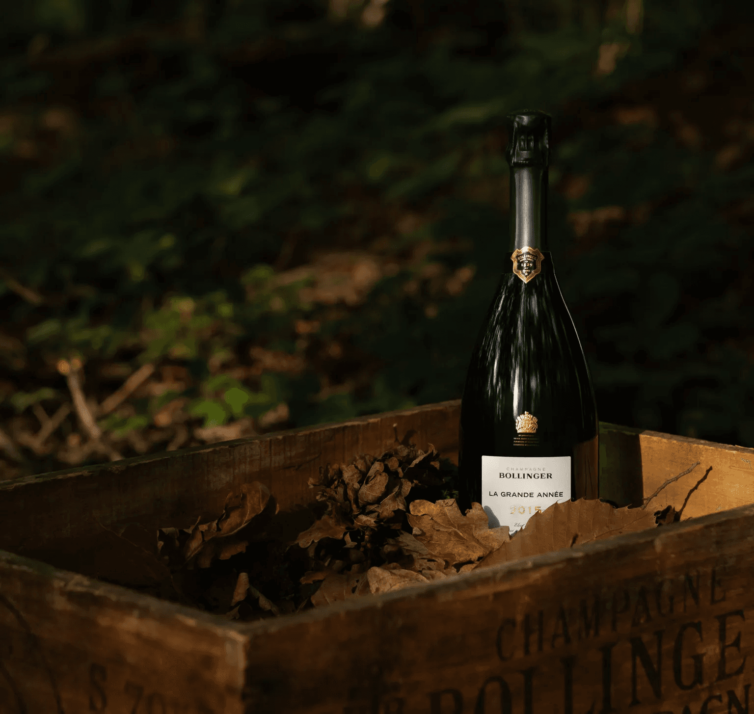 Bollinger La Grande Année 2015 - BestChampagne.se