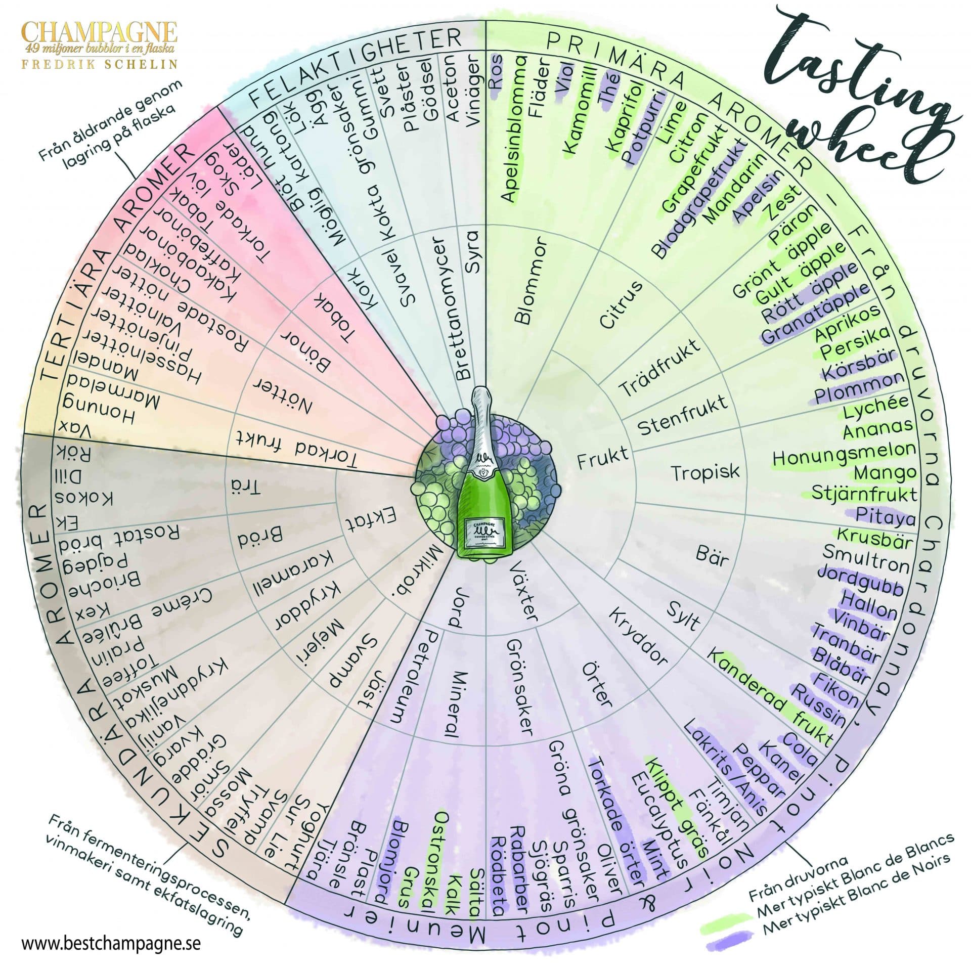 Tasting wheel